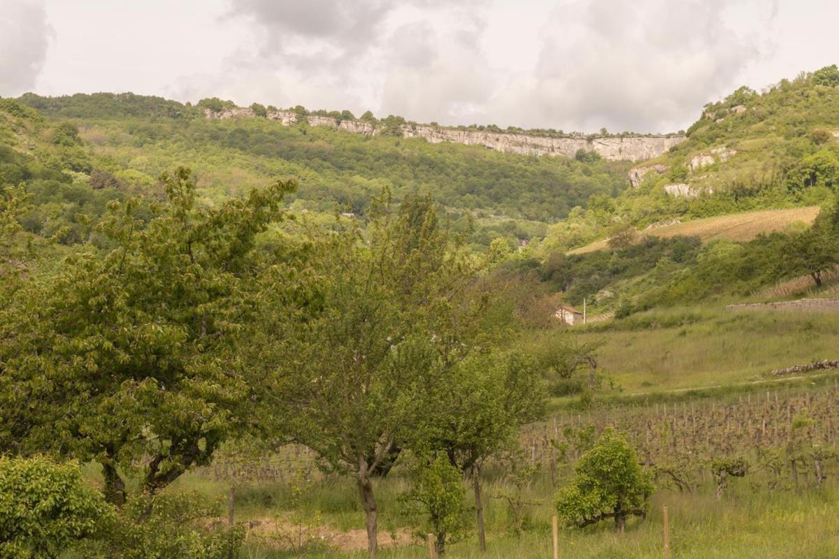 Maison Picard Saint-Romain  Esterno foto